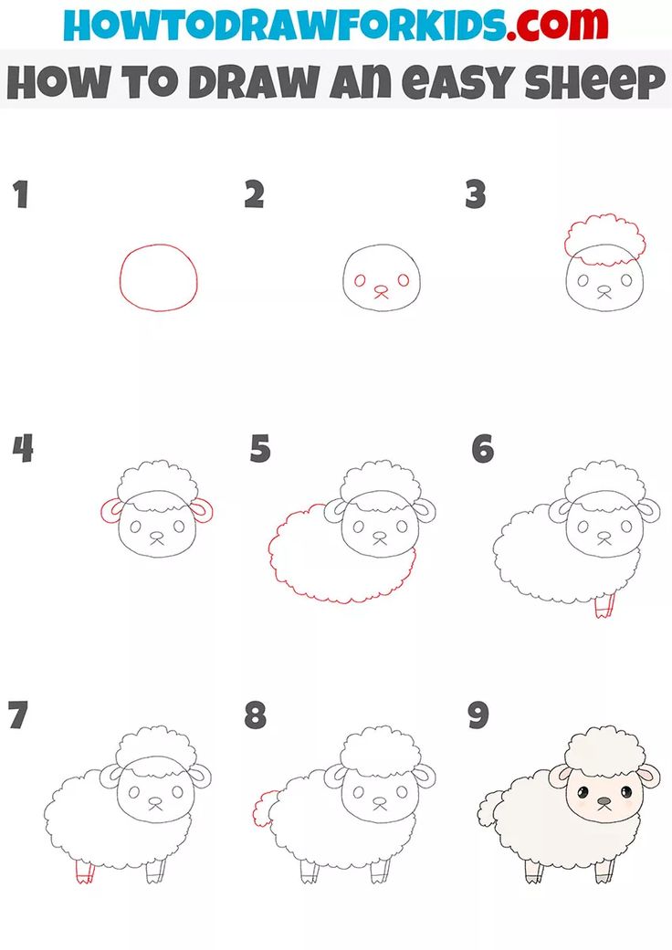 how to draw an easy sheep step by step drawing for kids and adults with pictures