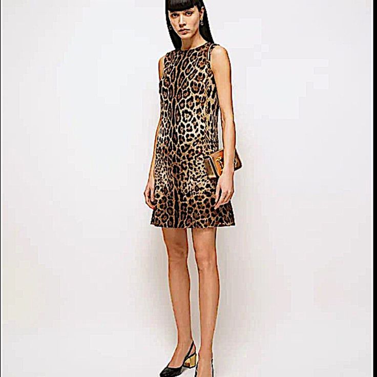 Dolce&Gabbana Dress In Leopard Print. Round Neckline. Sleeveless. Shift Silhouette. Above Knee Length. Back Zip. Silk/Spandex. Polyester Lining. Dry Clean. Made In Italy. Luxury Sleeveless Silk Mini Dress, Luxury Silk Sleeveless Mini Dress, Luxury Silk Sleeveless Dress, Luxury Black Sleeveless Mini Dress, Luxury Black Sleeveless Dress, Elegant Silk Leopard Print Dresses, Sleeveless Leopard Print Evening Dress, Chic Sleeveless Leopard Print Dress, Sleeveless Silk Brown Dress