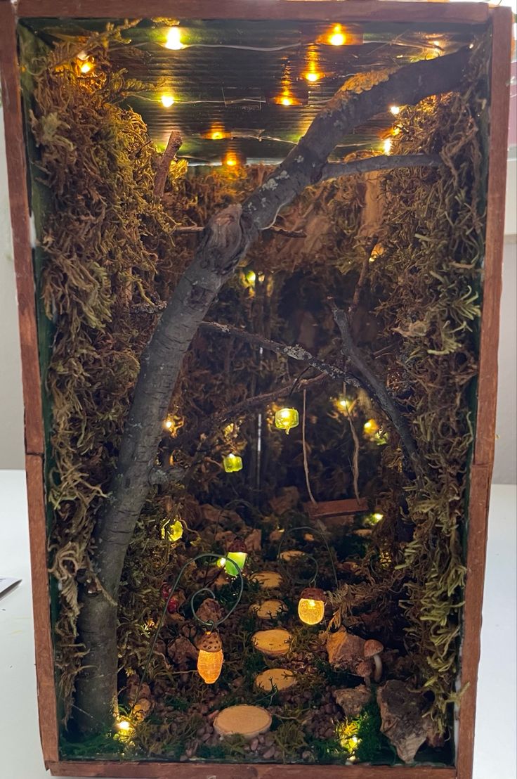 a wooden frame with lights and moss on the inside is filled with small rocks, trees, and plants