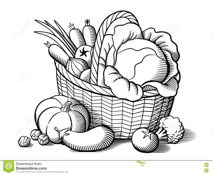 a black and white drawing of a basket full of vegetables, including carrots, potatoes