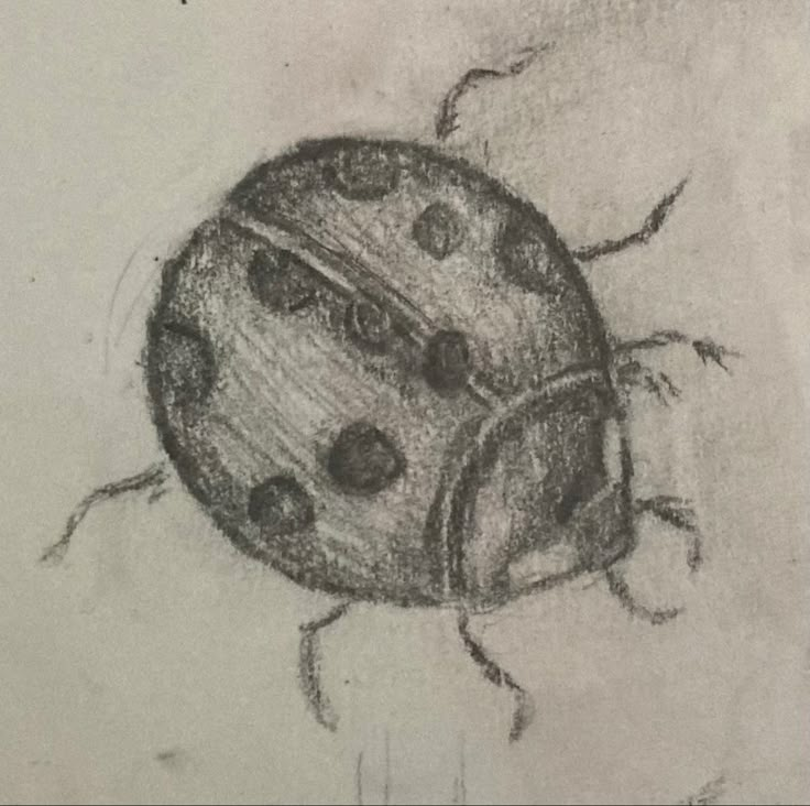 a drawing of a ladybug sitting on the ground