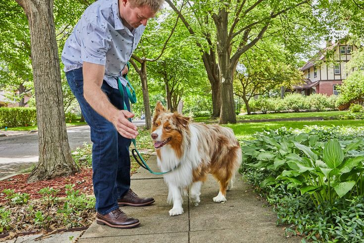 a man is walking his dog on a leash