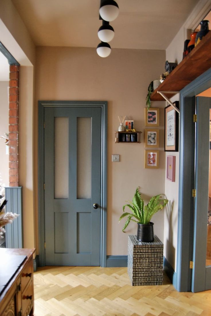 a hallway with a potted plant on the floor next to a blue front door