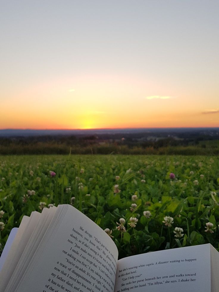 an open book sitting on top of a lush green field next to a flower filled field