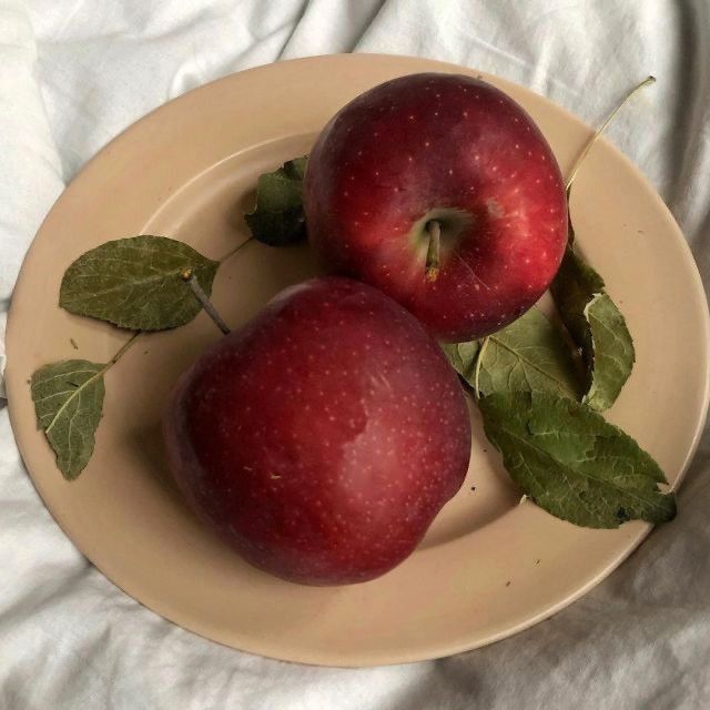 two red apples sitting on top of a white plate next to green leafy leaves