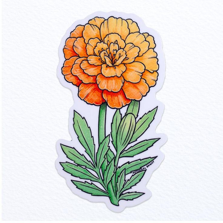 an orange flower with green leaves is shown on a white background and has watercolor paint