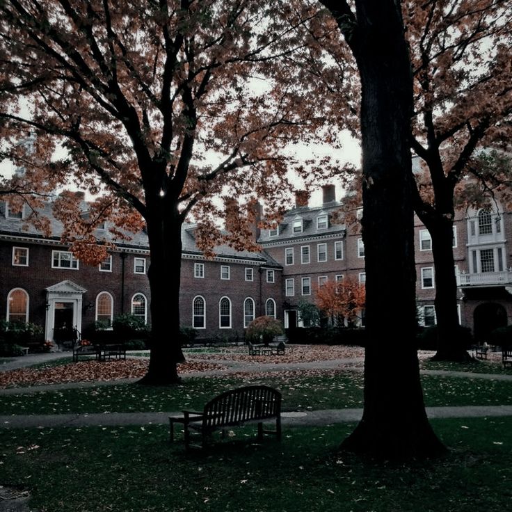 an empty park with benches and trees in the fall