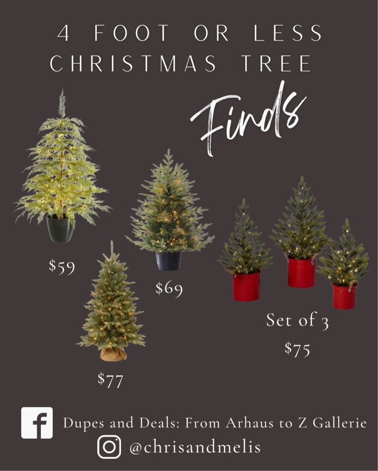 four christmas trees in pots with the words, 4 foot or less christmas tree finds