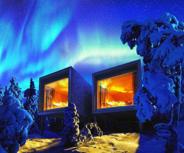 the aurora bore is lit up in the sky above some snow covered trees and bushes