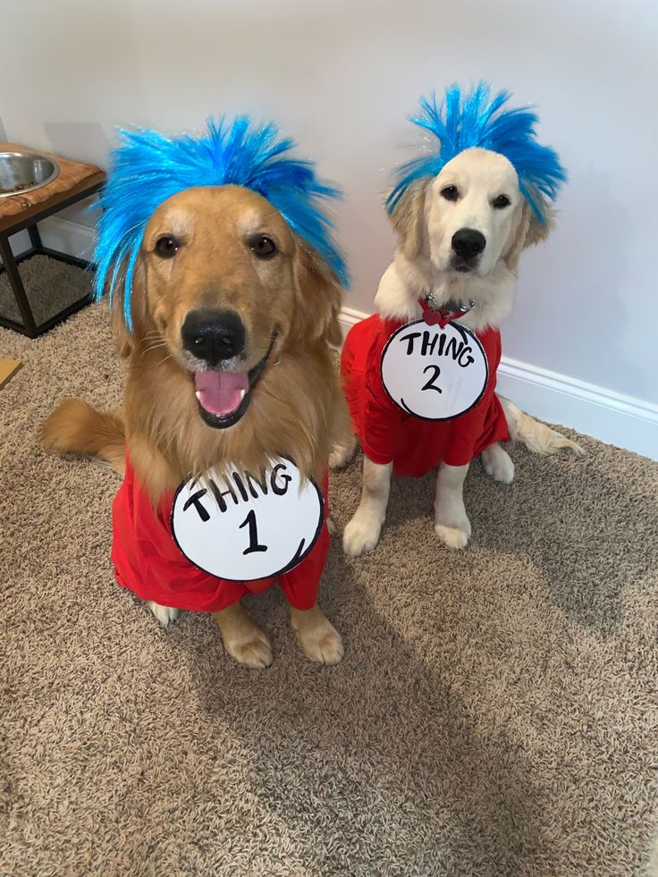 two dogs dressed up as thing 1 and thing 2