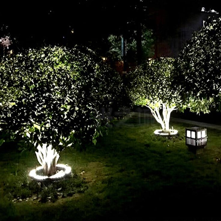 some trees and bushes lit up at night in the grass with lights shining on them