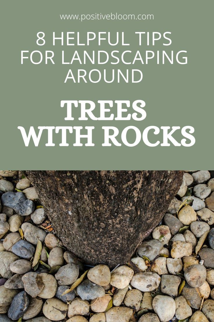 Check out these simple tips for landscaping around trees with rocks and discover some amazing designs you can incorporate into your backyard. Tree Base Ideas Outdoor, How To Decorate Around A Tree Outside, Rocked Front Yard Landscaping Ideas, Rock Wall Around Tree, Rock Landscaping Around Trees, Rock Barrier Landscaping, Rock Gardens Around Trees, Rock Bed Around Tree, Borders Around Trees