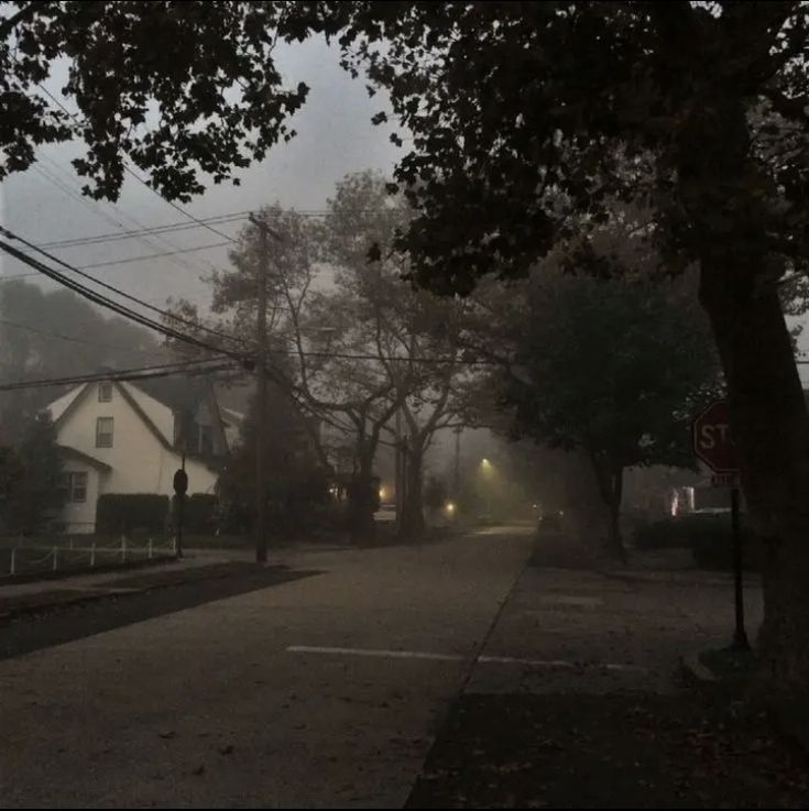 an empty street with houses and trees in the fog