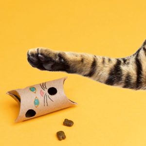 a cat laying on its back with it's paw in a paper bag next to some food