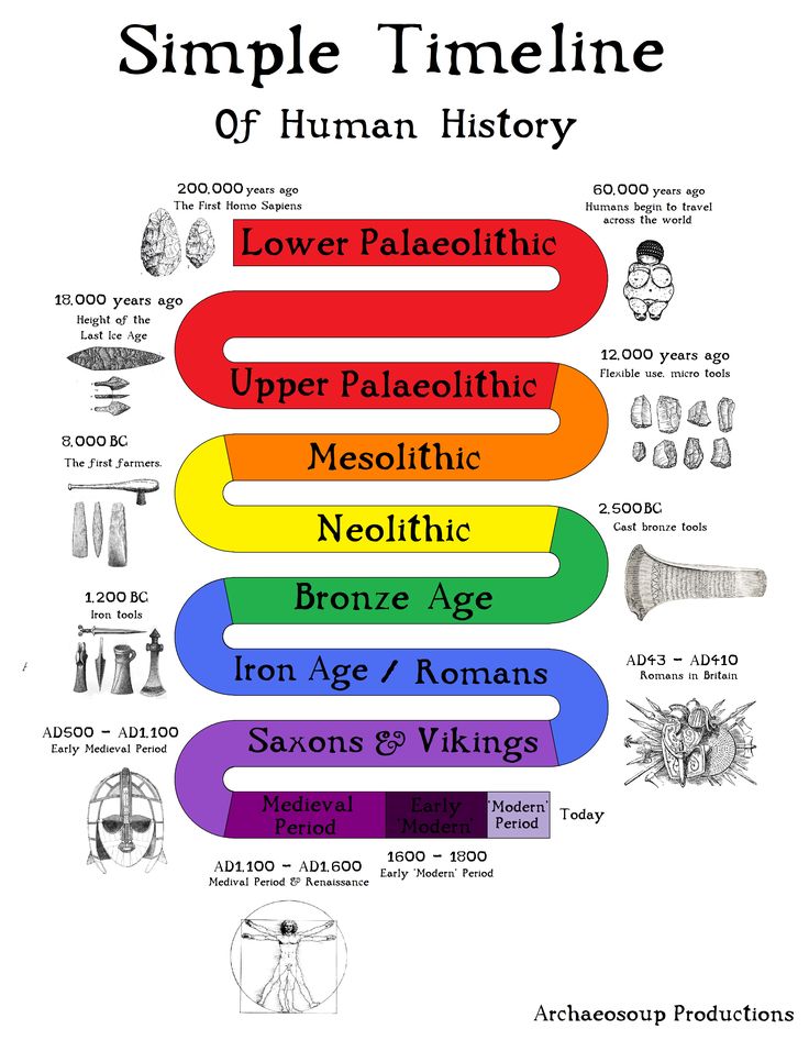 the book cover for simple time line of human history, with an image of different types of