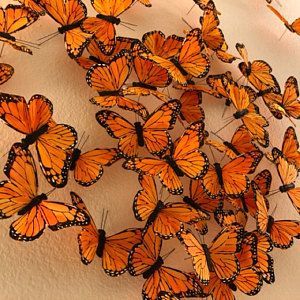 a bunch of orange butterflies flying in the air