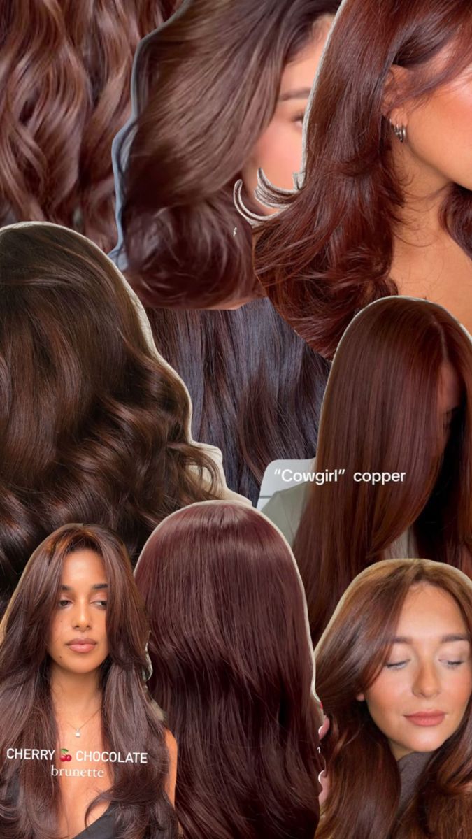 Reddish brown hair colour Brown Curly Hair Color Ideas, Cool Reddish Brown Hair, Short Cherry Brown Hair, Red Brown Hair Light Skin, Brownish Reddish Hair Color, Reddish Brown Hair Colour, Cherry Brown Short Hair, Redbrownhair Color, Brown With Red Undertones Curly Hair