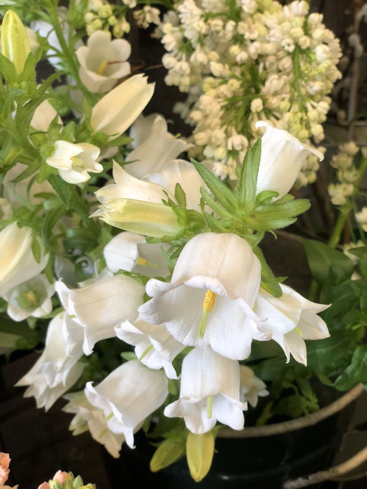 some white flowers are in a green pot