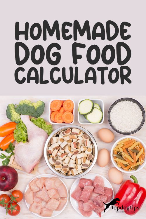 an image of dog food calculator with the words homemade dog food on it