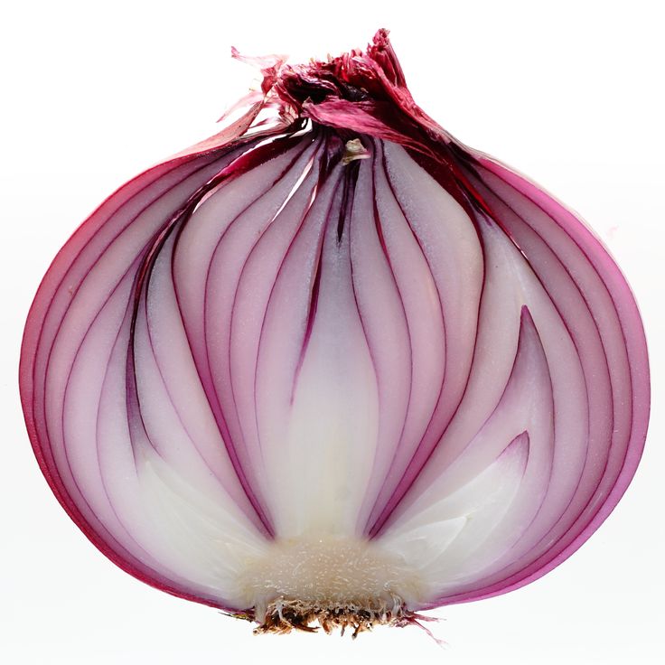 an onion cut in half sitting on top of a table