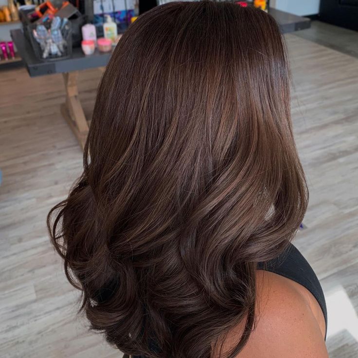 One Colour Hair Brown, Single Process Hair Color Dark Brown, All Over Brown Hair Color Fall, Full Color Hair Ideas Brown, Chocolate Brown Hair One Color, One Tone Hair Color Brown, All Brown Hair Color, Single Color Hair Brown, Brown Hair Colors No Highlights