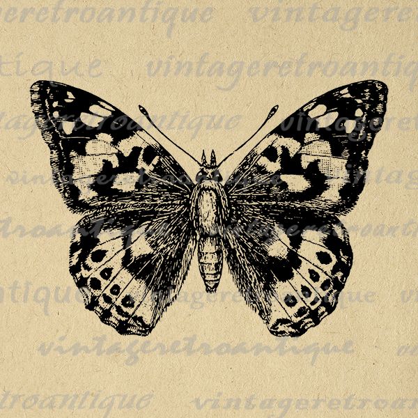 a black and white butterfly sitting on top of a piece of paper with writing underneath it