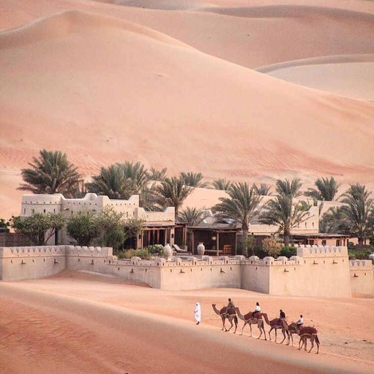 three people riding camels in the desert with palm trees and buildings behind them,