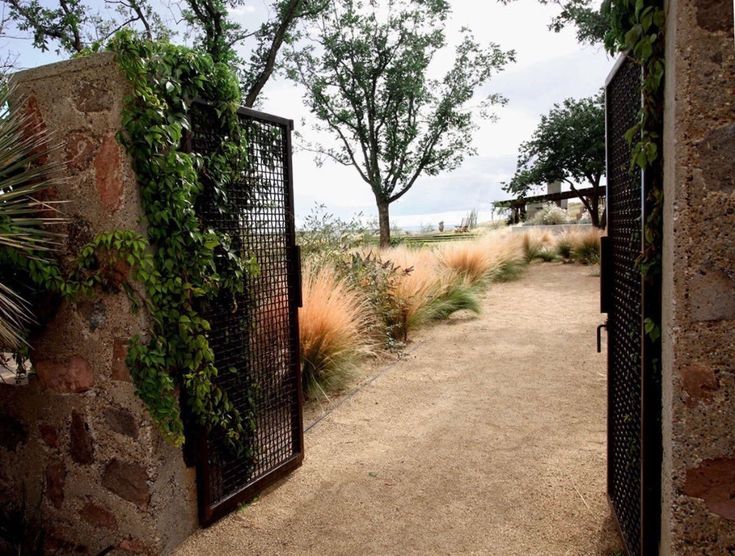 an open gate leading to a dirt path with plants growing on the sides and trees in the background