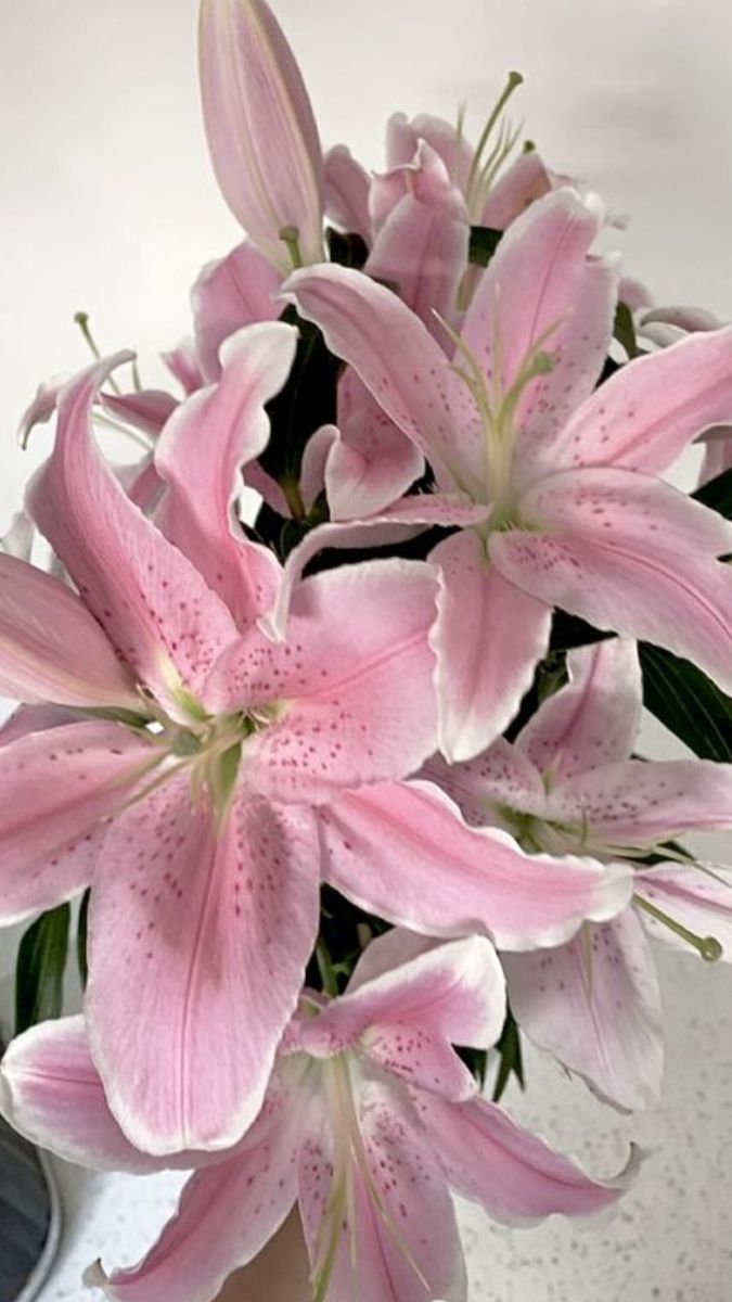 a vase filled with pink flowers on top of a table