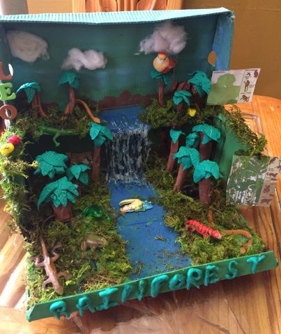 a cake made to look like an open book with trees and animals in it on a table