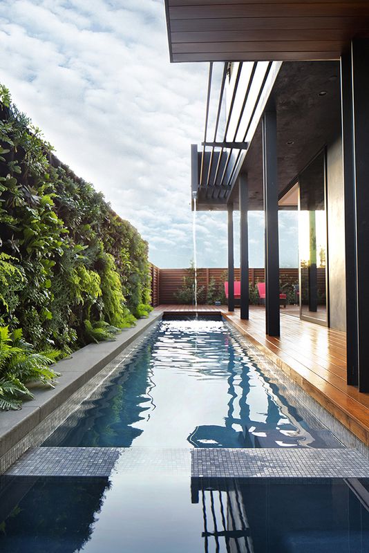 an outdoor swimming pool surrounded by greenery