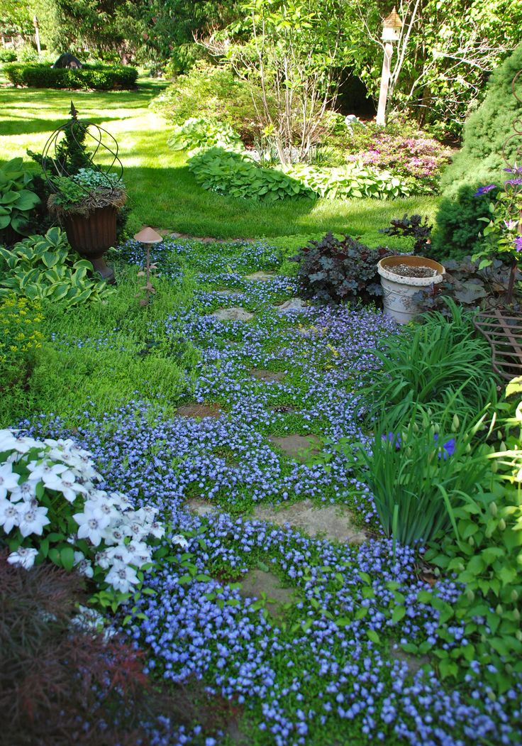 a garden with blue and white flowers in it