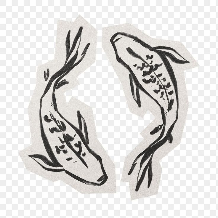 two black and white koi fish stickers on a transparent background, hd png