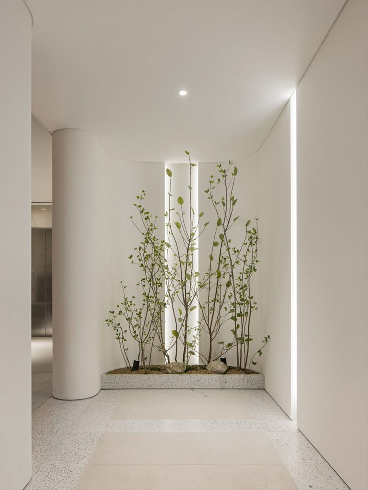 an empty room with white walls and plants on the wall