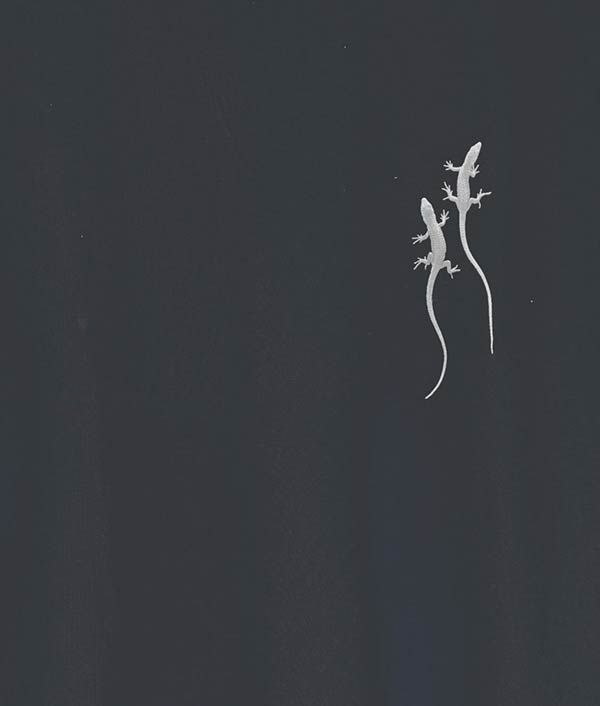 two geckos standing on top of each other in the night sky with their tails spread out