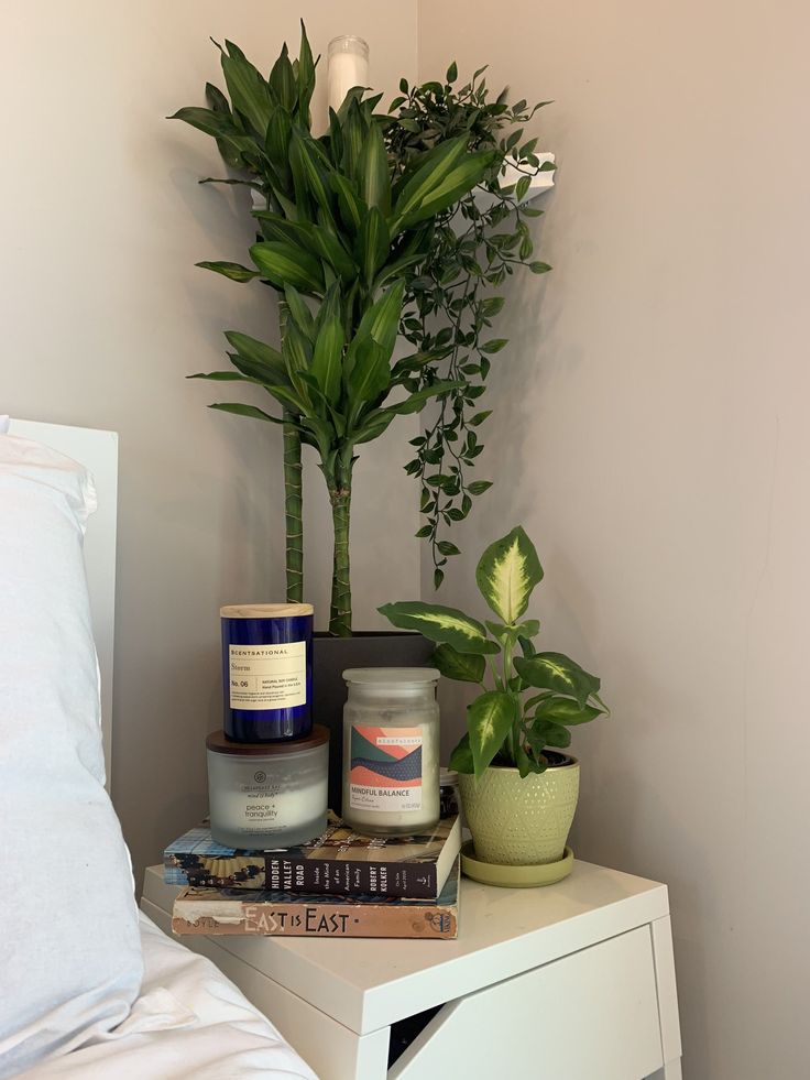 a white nightstand topped with books next to a potted plant and candle on top of it