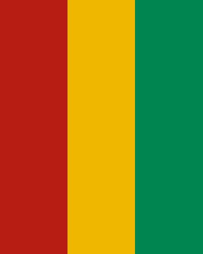 the flag of guinea is shown in red, green and yellow