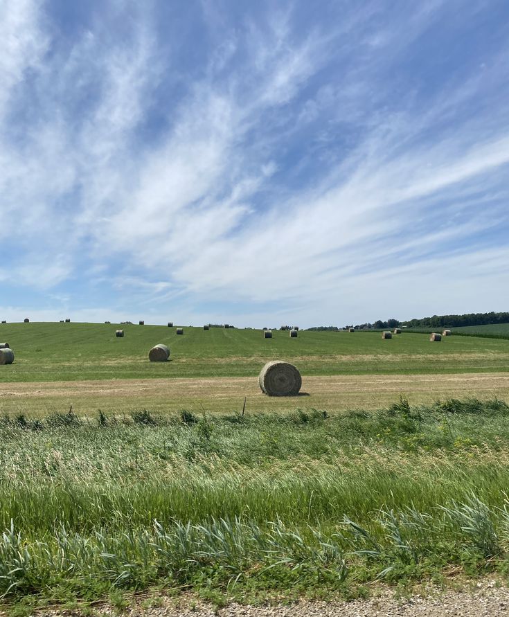 hay bales in a field on a sunny day