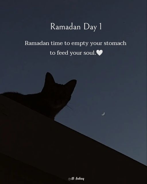 a black cat sitting on top of a roof under a night sky with the words raman day 1