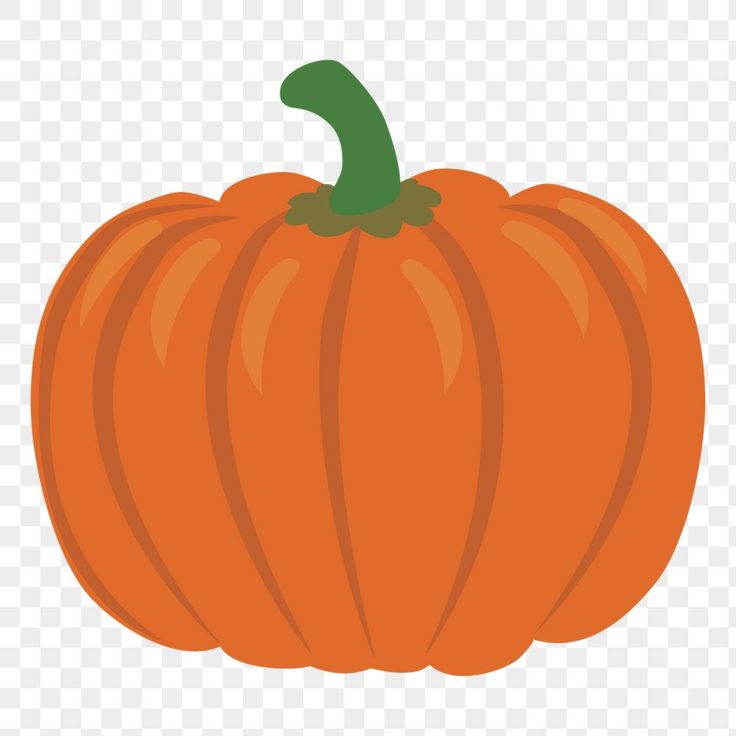 an orange pumpkin on a transparent background