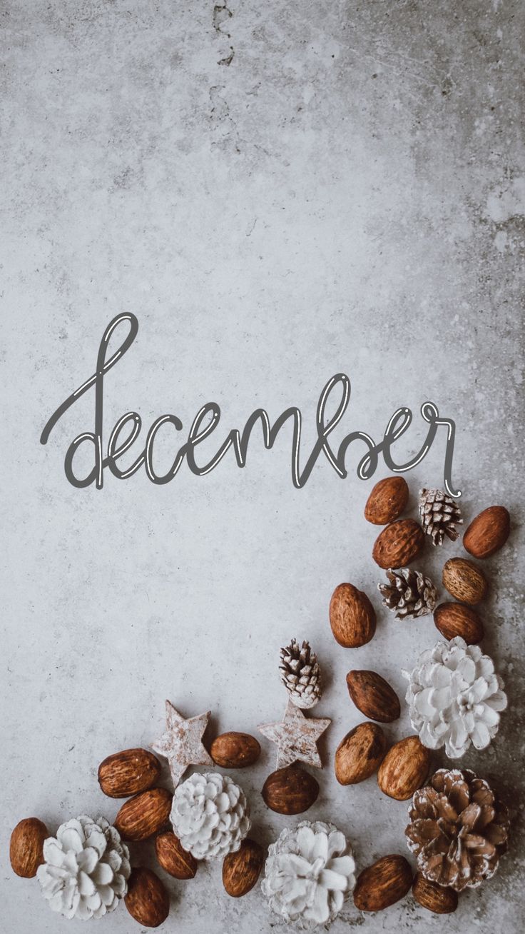 the word december surrounded by nuts and pine cones