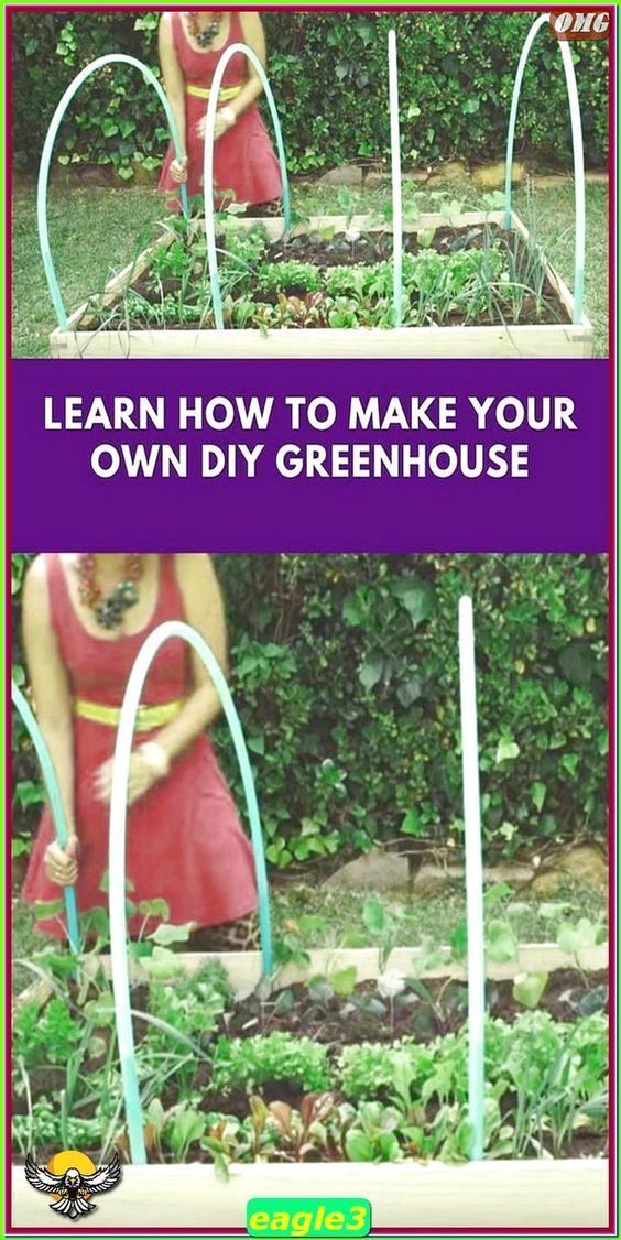 a woman standing in front of a garden filled with green plants and an image of the words learn how to make your own diy greenhouse