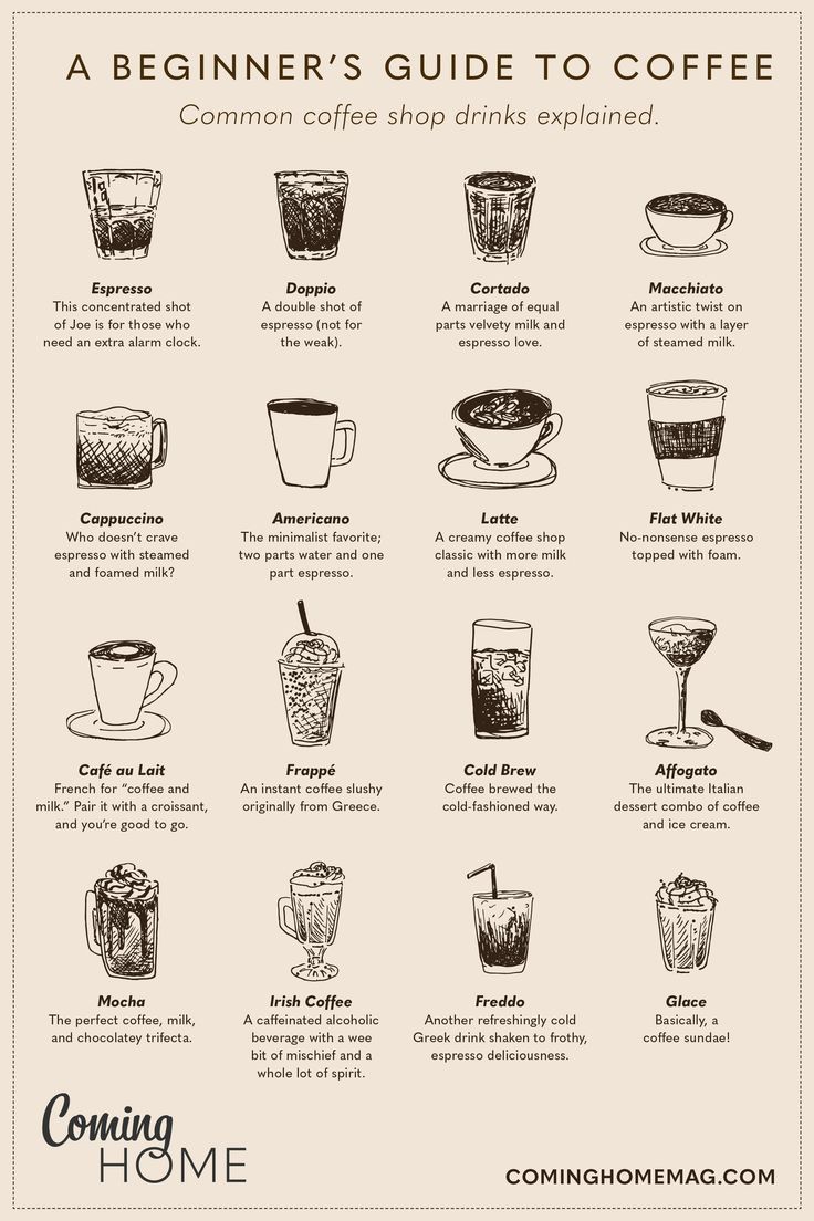 coffee guide for coffee lovers Coffee Drink Chart, Basic Coffee Knowledge, Tip Jar Ideas Coffee Shop, Coffee Cheat Sheet, Coffee Bar List, Coffee Shop Coffee Recipes, How To Start A Coffee Shop Business, Coffee Types Chart, Coffee Instructions