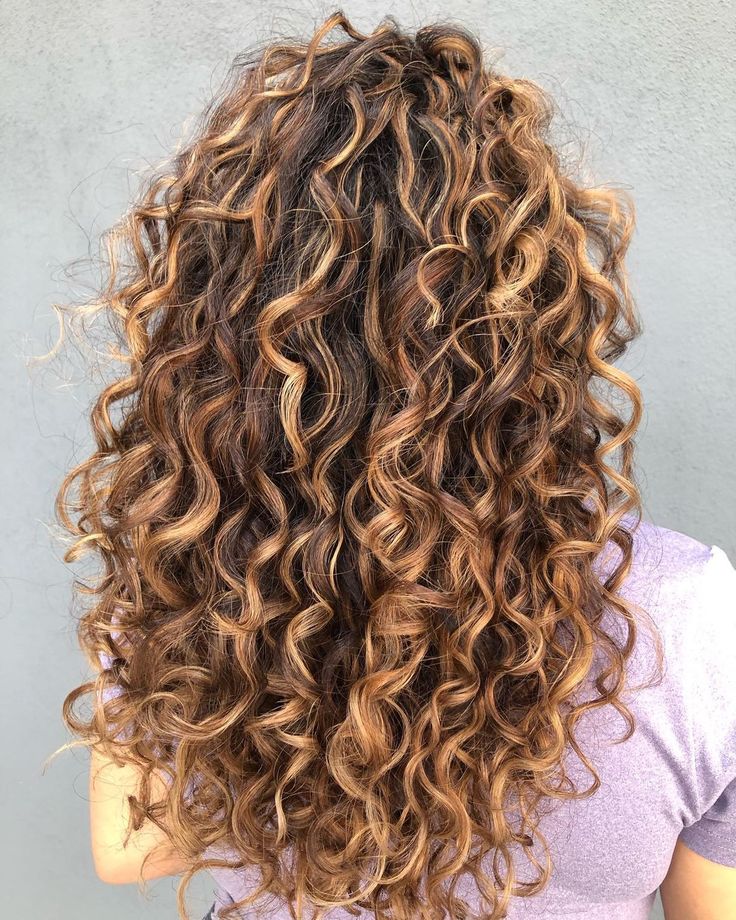 Golden Blonde Highlights in Long Brown Curly Hair Blonde Highlights Curly Hair, Curly Highlights, Dark Curly Hair, Golden Brown Hair, Highlights Curly Hair, Golden Blonde Highlights, Brown Curls, Brown Curly Hair, Textured Curly Hair