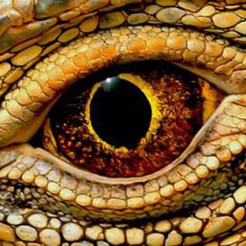 the eye of an alligator is shown in this close up photo, which appears to be painted yellow and brown