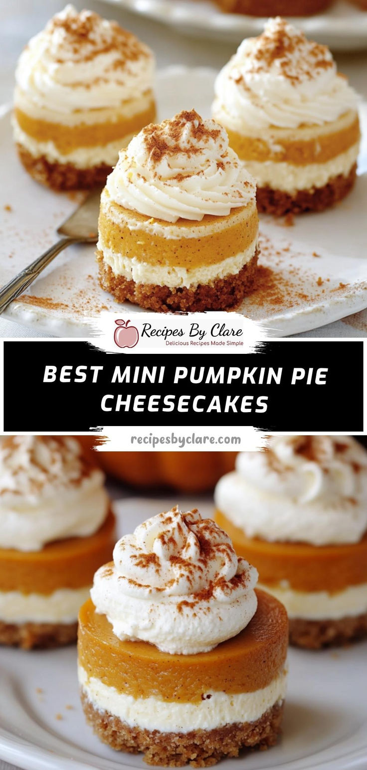 mini pumpkin pie cheesecakes with whipped cream on top and the words best mini pumpkin pie