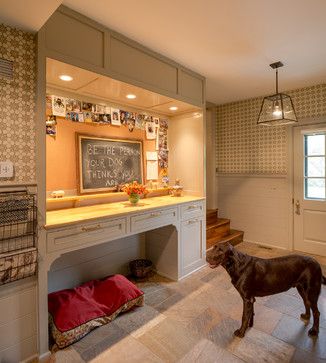 a dog is standing in front of a desk with a chalkboard on the wall