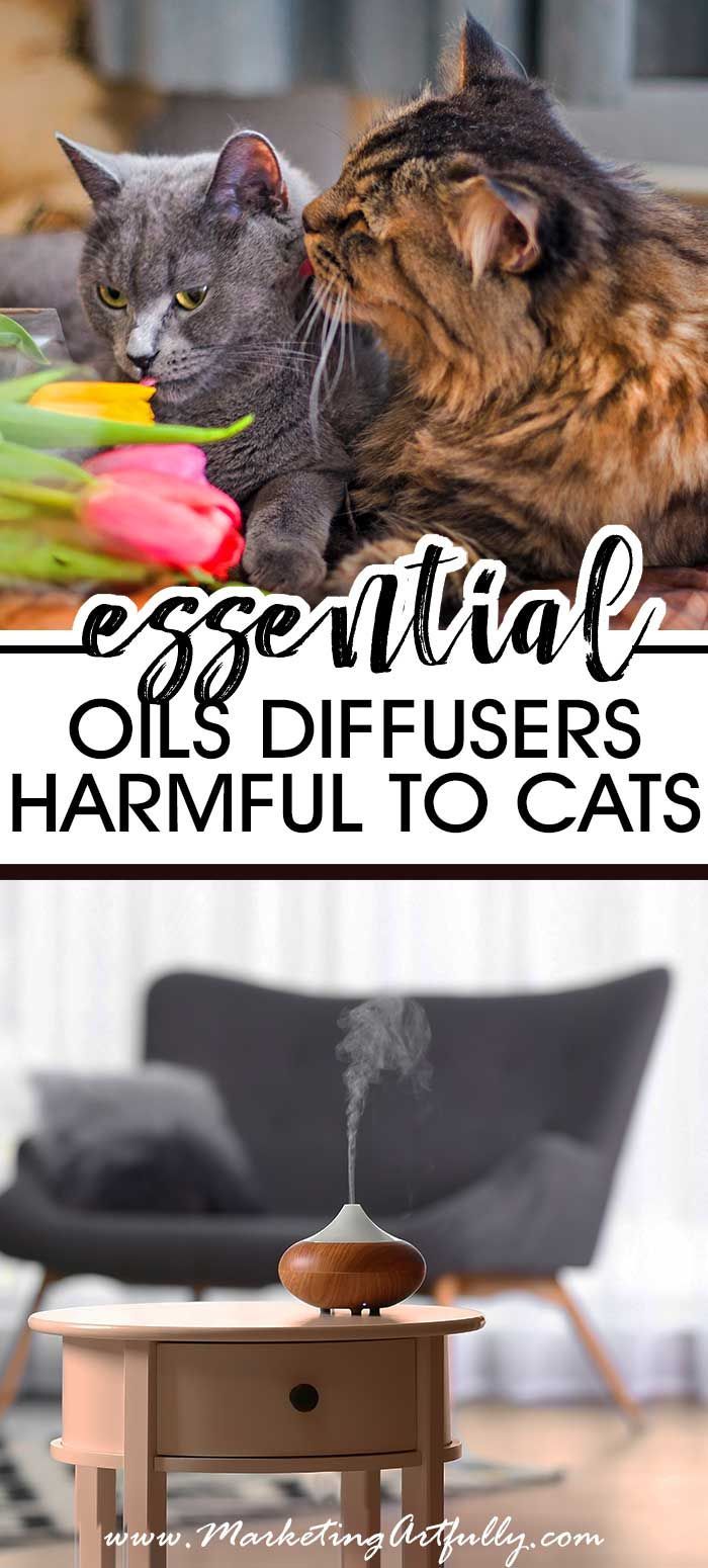 two cats sitting next to each other with the caption essential oils diffusers, hamful to cats