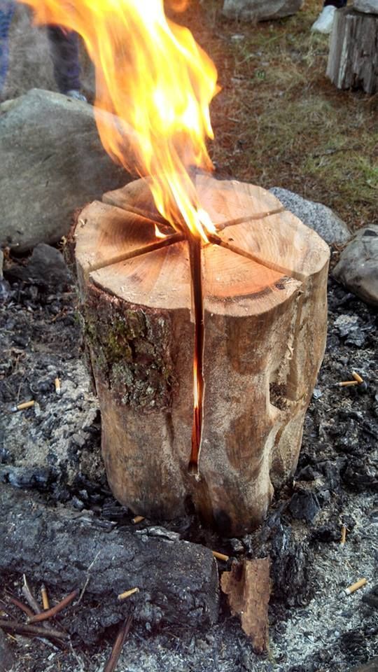 a fire is burning in the middle of a tree stump