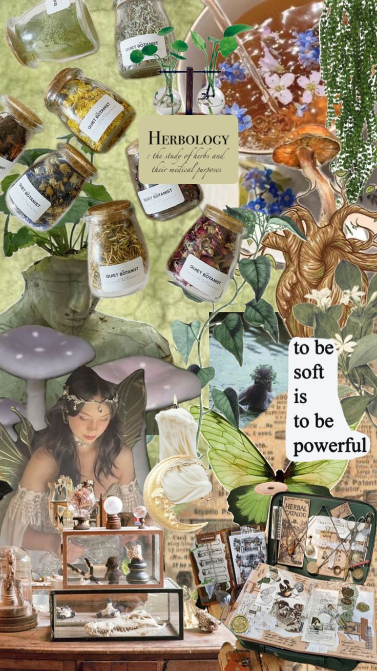 a collage with many different items and words on the image, including flowers, plants, herbs, and other things